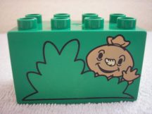 Lego Duplo képeskocka - madárijesztő 