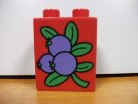 Lego Duplo képeskocka - áfonya