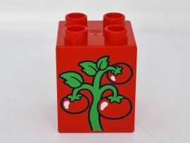 Lego Duplo Képeskocka - paradicsom 