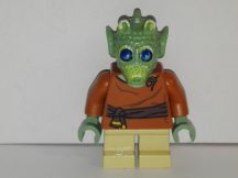 Lego Star Wars figura - Wald (sw328)