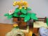 Lego Duplo Safari 6156 