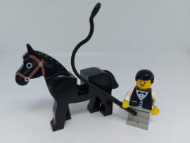 Lego Town Figura - Kocsis (wtr003)